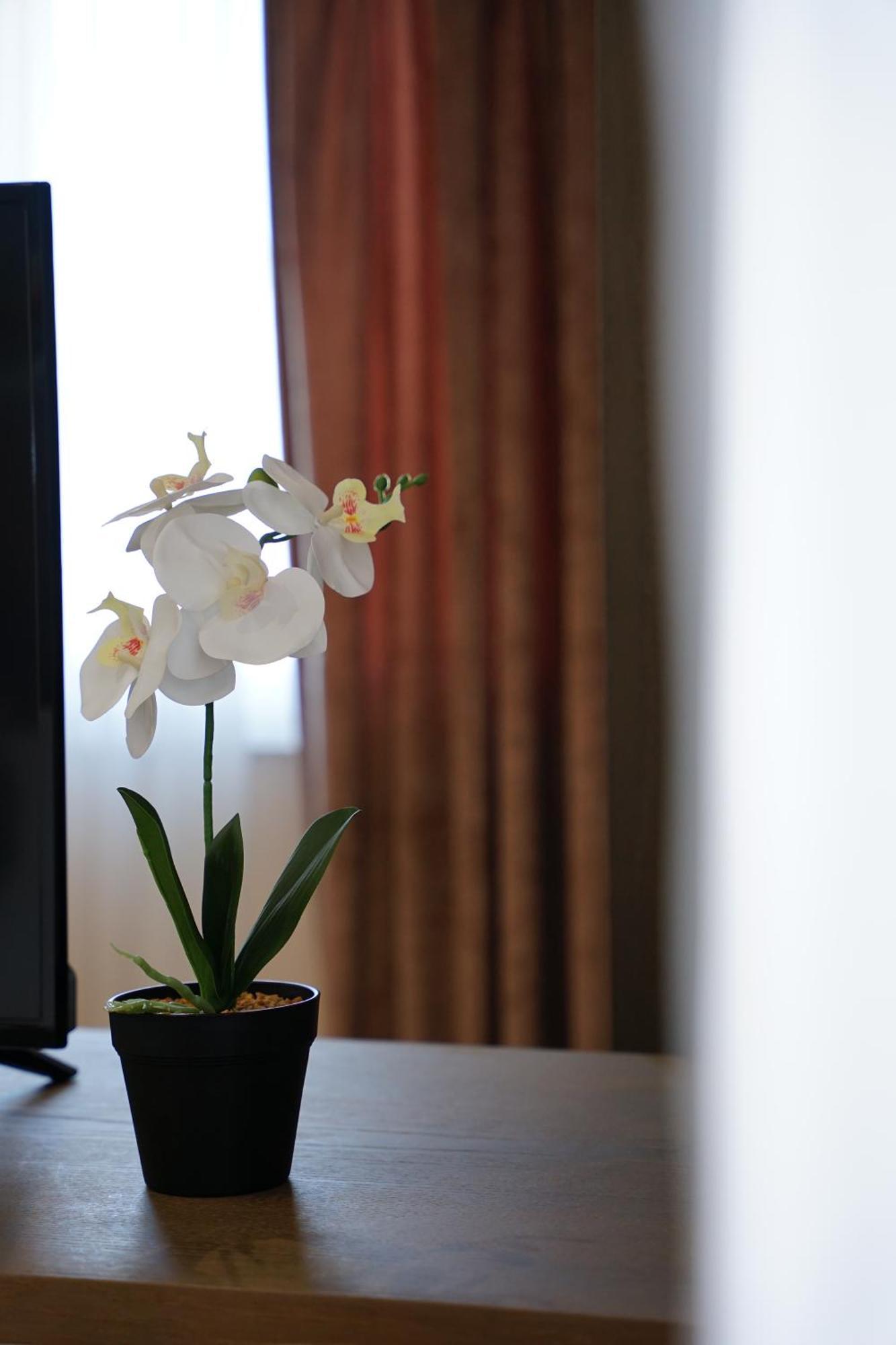 Doanesia Premium Hotel & Spa 地拉那 外观 照片